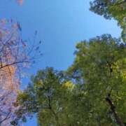 ヒメ日記 2025/12/28 10:18 投稿 みづき(昭和49年生まれ) 熟年カップル名古屋～生電話からの営み～