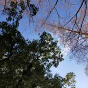 ヒメ日記 2025/12/29 10:17 投稿 みづき(昭和49年生まれ) 熟年カップル名古屋～生電話からの営み～