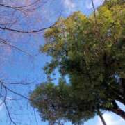 ヒメ日記 2026/01/03 10:40 投稿 みづき(昭和49年生まれ) 熟年カップル名古屋～生電話からの営み～