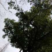 ヒメ日記 2026/01/04 10:00 投稿 みづき(昭和49年生まれ) 熟年カップル名古屋～生電話からの営み～