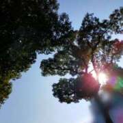 ヒメ日記 2026/01/05 10:15 投稿 みづき(昭和49年生まれ) 熟年カップル名古屋～生電話からの営み～