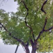 ヒメ日記 2026/01/07 10:18 投稿 みづき(昭和49年生まれ) 熟年カップル名古屋～生電話からの営み～