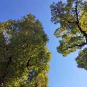 ヒメ日記 2026/01/09 10:11 投稿 みづき(昭和49年生まれ) 熟年カップル名古屋～生電話からの営み～