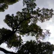 ヒメ日記 2026/01/11 10:14 投稿 みづき(昭和49年生まれ) 熟年カップル名古屋～生電話からの営み～