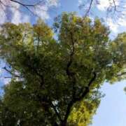 ヒメ日記 2026/01/13 10:19 投稿 みづき(昭和49年生まれ) 熟年カップル名古屋～生電話からの営み～