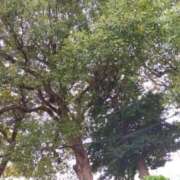 ヒメ日記 2026/01/14 09:57 投稿 みづき(昭和49年生まれ) 熟年カップル名古屋～生電話からの営み～