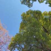 ヒメ日記 2026/01/18 10:23 投稿 みづき(昭和49年生まれ) 熟年カップル名古屋～生電話からの営み～