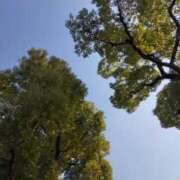 ヒメ日記 2026/01/19 10:13 投稿 みづき(昭和49年生まれ) 熟年カップル名古屋～生電話からの営み～