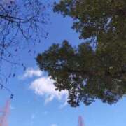 ヒメ日記 2026/01/22 10:08 投稿 みづき(昭和49年生まれ) 熟年カップル名古屋～生電話からの営み～