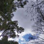 ヒメ日記 2026/01/23 10:12 投稿 みづき(昭和49年生まれ) 熟年カップル名古屋～生電話からの営み～