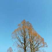 ヒメ日記 2026/01/24 10:29 投稿 みづき(昭和49年生まれ) 熟年カップル名古屋～生電話からの営み～