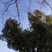 ヒメ日記 2026/02/12 10:35 投稿 みづき(昭和49年生まれ) 熟年カップル名古屋～生電話からの営み～