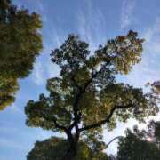 ヒメ日記 2026/02/14 11:02 投稿 みづき(昭和49年生まれ) 熟年カップル名古屋～生電話からの営み～