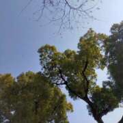 ヒメ日記 2026/02/16 10:17 投稿 みづき(昭和49年生まれ) 熟年カップル名古屋～生電話からの営み～