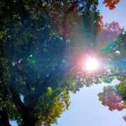 ヒメ日記 2026/03/04 11:01 投稿 みづき(昭和49年生まれ) 熟年カップル名古屋～生電話からの営み～