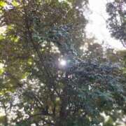 ヒメ日記 2026/03/10 12:16 投稿 みづき(昭和49年生まれ) 熟年カップル名古屋～生電話からの営み～