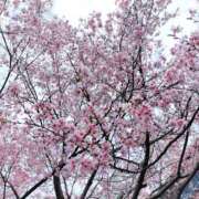 ヒメ日記 2026/03/28 08:10 投稿 みづき(昭和49年生まれ) 熟年カップル名古屋～生電話からの営み～