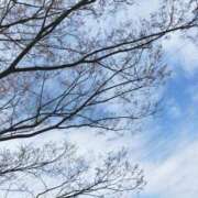 ヒメ日記 2026/03/30 12:17 投稿 みづき(昭和49年生まれ) 熟年カップル名古屋～生電話からの営み～