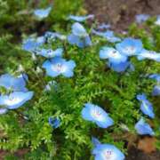 ヒメ日記 2026/04/02 09:02 投稿 みづき(昭和49年生まれ) 熟年カップル名古屋～生電話からの営み～