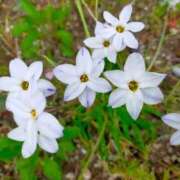 ヒメ日記 2026/04/07 08:02 投稿 みづき(昭和49年生まれ) 熟年カップル名古屋～生電話からの営み～