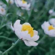 ヒメ日記 2026/04/08 07:01 投稿 みづき(昭和49年生まれ) 熟年カップル名古屋～生電話からの営み～