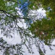 ヒメ日記 2026/04/14 06:52 投稿 みづき(昭和49年生まれ) 熟年カップル名古屋～生電話からの営み～