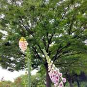 ヒメ日記 2026/04/18 07:17 投稿 みづき(昭和49年生まれ) 熟年カップル名古屋～生電話からの営み～