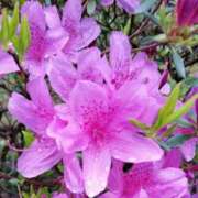 みづき(昭和49年生まれ) 窓 熟年カップル名古屋～生電話からの営み～