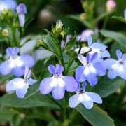 ヒメ日記 2026/04/29 07:58 投稿 みづき(昭和49年生まれ) 熟年カップル名古屋～生電話からの営み～