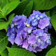 ヒメ日記 2026/06/10 07:23 投稿 みづき(昭和49年生まれ) 熟年カップル名古屋～生電話からの営み～
