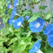 ヒメ日記 2026/07/09 07:24 投稿 みづき(昭和49年生まれ) 熟年カップル名古屋～生電話からの営み～