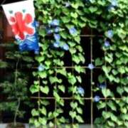 ヒメ日記 2026/07/24 07:14 投稿 みづき(昭和49年生まれ) 熟年カップル名古屋～生電話からの営み～