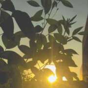 ヒメ日記 2026/09/23 08:19 投稿 みづき(昭和49年生まれ) 熟年カップル名古屋～生電話からの営み～