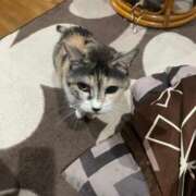 ヒメ日記 2025/04/25 09:17 投稿 かづき 水戸人妻花壇