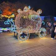 ヒメ日記 2025/12/21 23:53 投稿 かづき 水戸人妻花壇