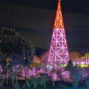 ヒメ日記 2025/12/22 11:00 投稿 かづき 水戸人妻花壇