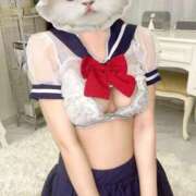 ヒメ日記 2025/03/29 13:06 投稿 山本しおり HYPER TOKYO