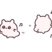 ヒメ日記 2025/05/08 08:09 投稿 月宮ひかる 池袋パラダイス