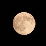 ヒメ日記 2025/10/10 16:29 投稿 月宮ひかる 池袋パラダイス