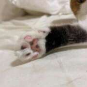 いのり 暑すぎるしもうだめだ Ace(エース)