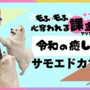 ヒメ日記 2025/03/21 00:57 投稿 Ryo Amano ELEGANT－エレガント－