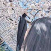 ヒメ日記 2025/03/30 21:19 投稿 諸星きら ウルトラハピネス