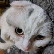 ヒメ日記 2025/03/19 11:22 投稿 江藤　きこ ギン妻パラダイス 谷九店