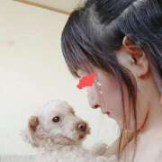 ヒメ日記 2025/03/21 11:03 投稿 江藤　きこ ギン妻パラダイス 谷九店