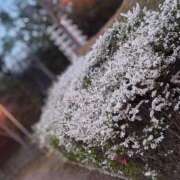 ヒメ日記 2025/03/27 12:00 投稿 江藤　きこ ギン妻パラダイス 谷九店