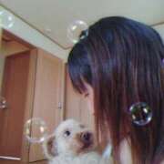 ヒメ日記 2025/05/27 11:03 投稿 江藤　きこ ギン妻パラダイス 谷九店