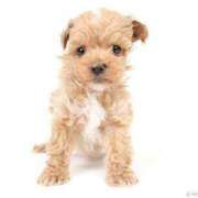 ヒメ日記 2025/06/04 13:16 投稿 江藤　きこ ギン妻パラダイス 谷九店