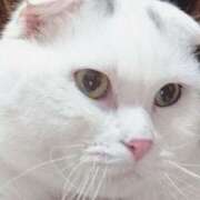 ヒメ日記 2025/06/16 11:04 投稿 江藤　きこ ギン妻パラダイス 谷九店