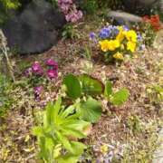 ヒメ日記 2025/06/22 13:33 投稿 江藤　きこ ギン妻パラダイス 谷九店