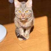 ヒメ日記 2025/06/25 11:04 投稿 江藤　きこ ギン妻パラダイス 谷九店